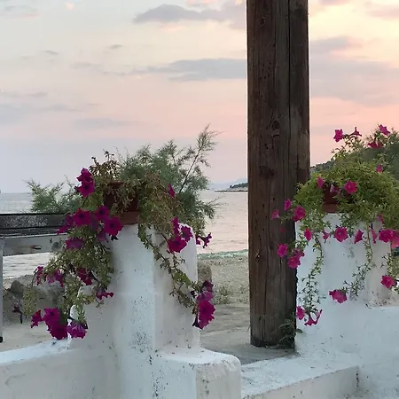 Dimitra - Kavala Lejlighed